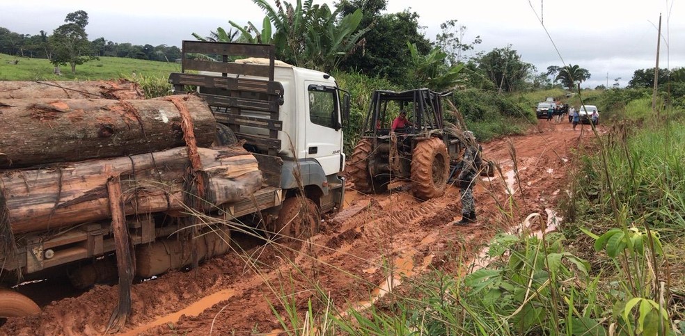 Transporte ilegal de madeiras foi flagrado em linha rural do distrito de Extrema — Foto: Polícia Federal/Divulgação