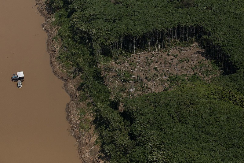 Sobrevoo flagra garimpo no rio Madeira e desmate no limite da Resex do Lago do Cuniã na Amazônia  (Foto: Amazônia Real/Flickr/Bruno Kelly)
