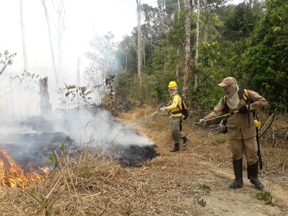 Equipes tentam controlar chamas tambÃ©m por terra â Foto: 17Âª Brigada/DivulgaÃ§Ã£o