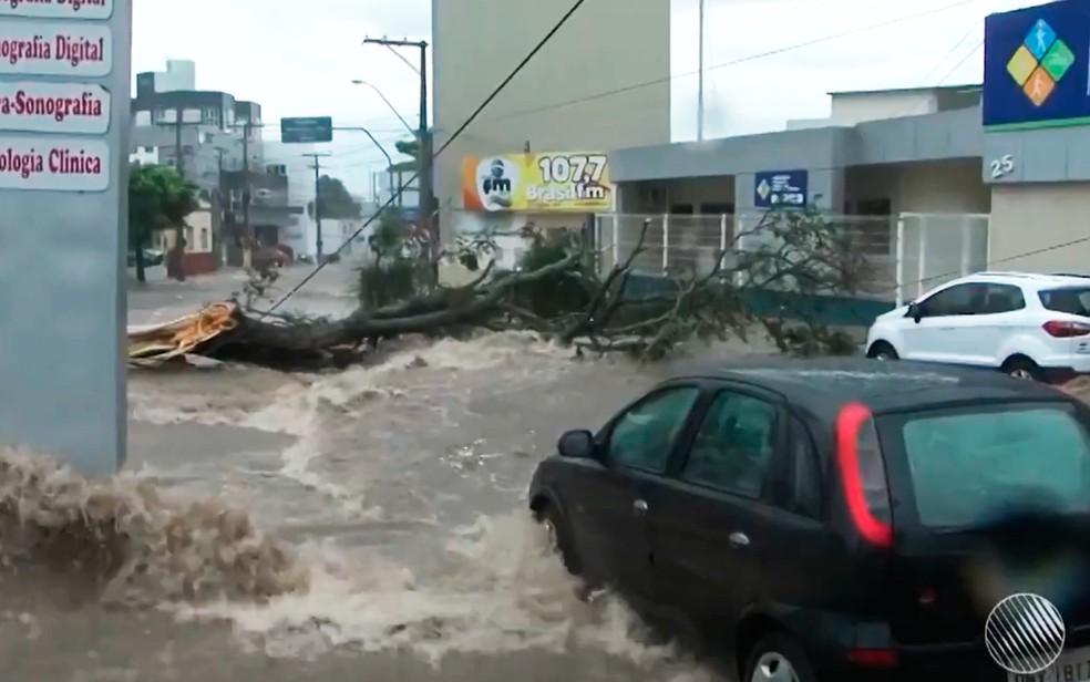 Temporal alaga ruas e derruba árvores em Vitória da Conquista, no sudoeste  da Bahia | Bahia | G1