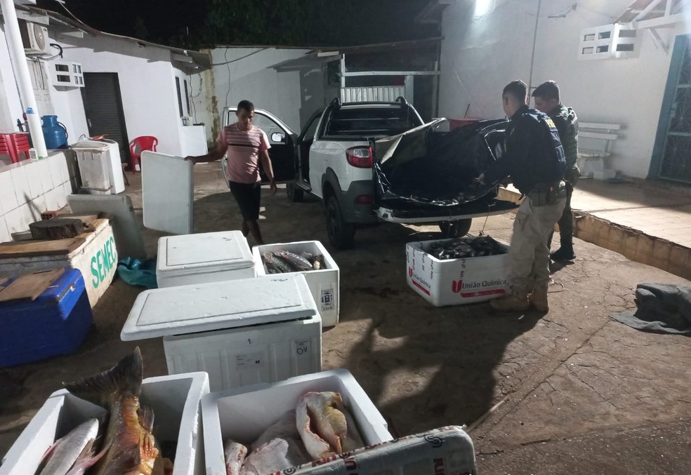 Pescado estava em caixas transportadas por picape de pescador — Foto: BPA/Reprodução