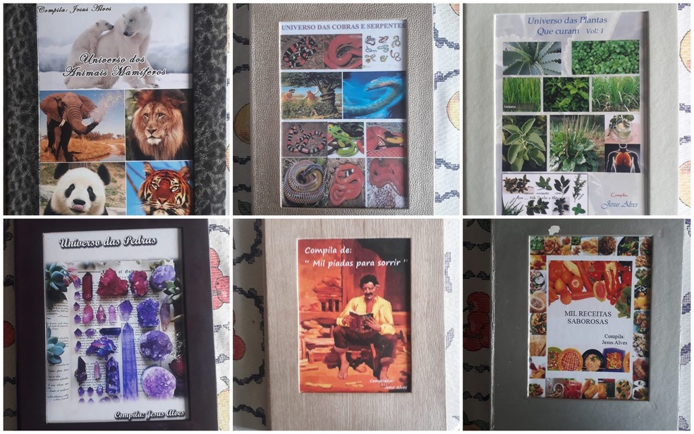 Idoso escreve mais de 100 livros em Goiânia e assuntos vão de "Mil receitas saborosas" a "Mil piadas para sorrir" — Foto: Jesus Alves/Arquivo pessoal