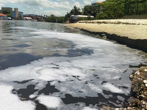 Peixes apareceram mortos em rio  (Foto: Luiz Carlos de Souza/RBS TV)