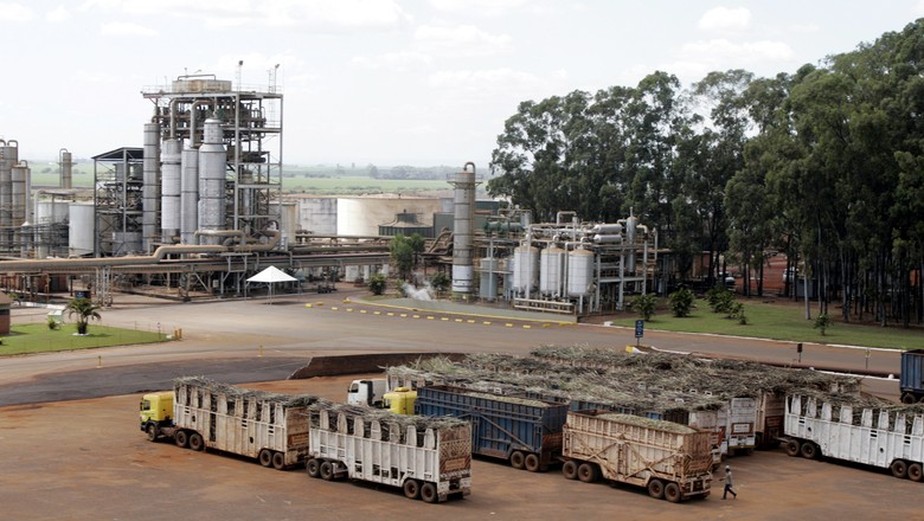 Usina de processamento de cana em Sertãozinho (SP). Para a Canaplan, 45,5% da cana processada na safra 2022/2023 deve ser usada para a produção de açúcar