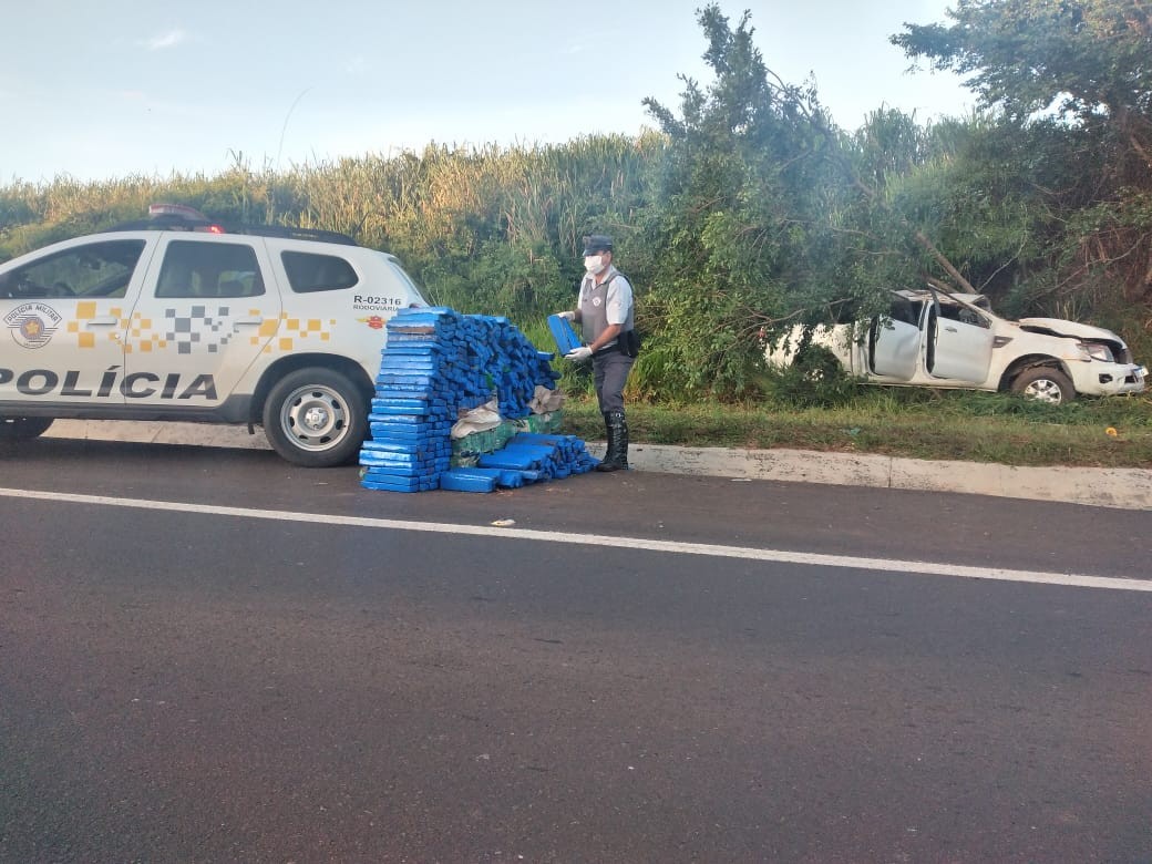 Meia tonelada de maconha é achada em caminhonete que ficou destruída após bater em árvore na rodovia 