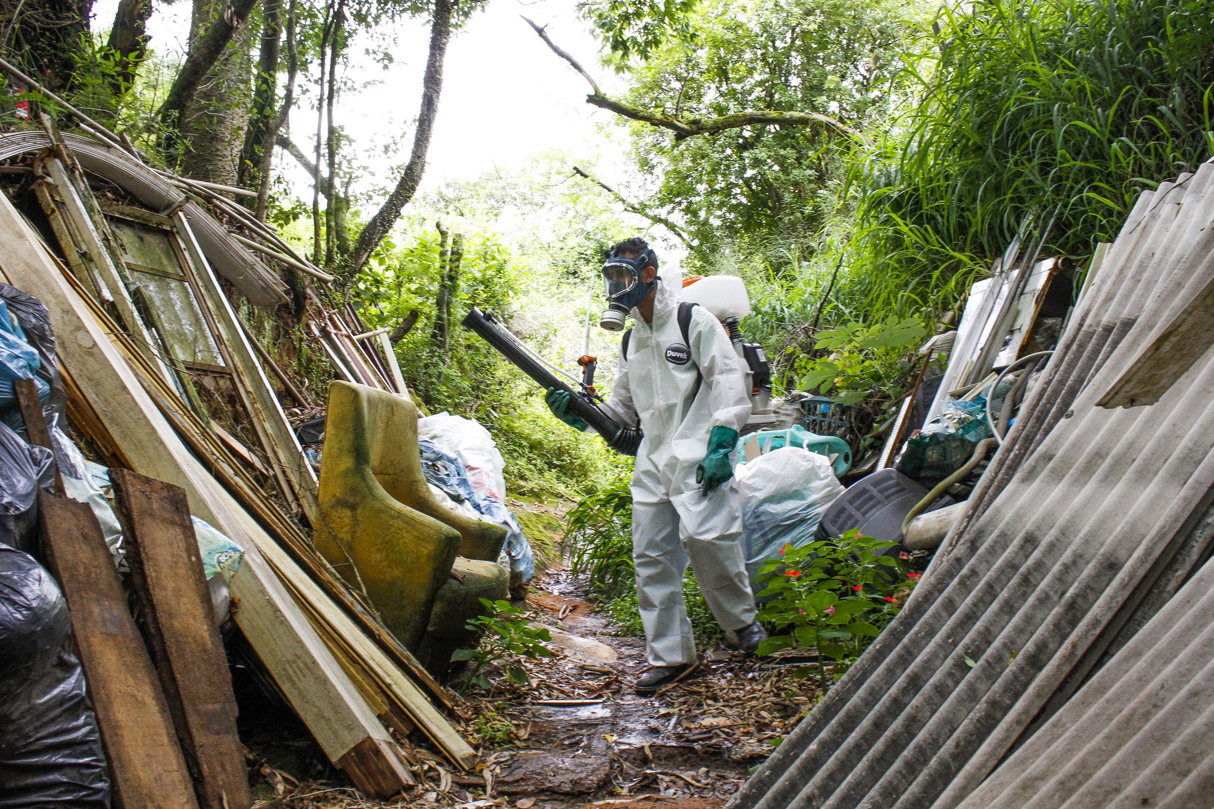 RS registra mais três mortes por dengue; total de óbitos chega a 26 no ano