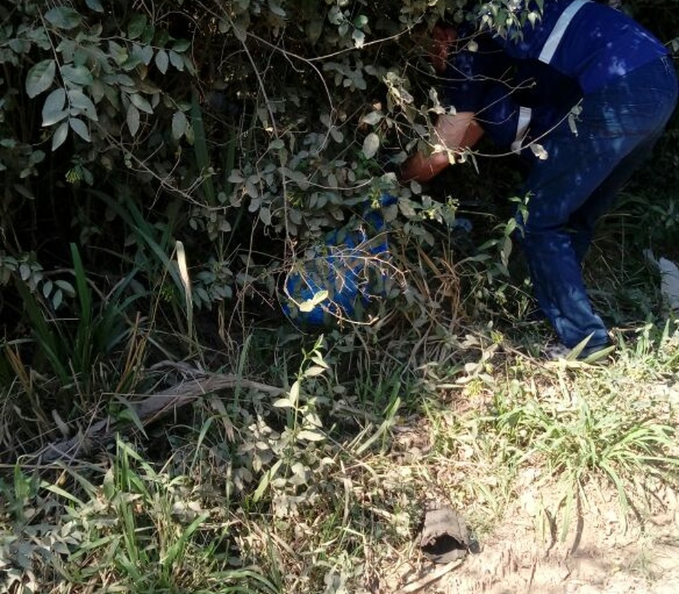 Perito durante o trabalho de recolhimento dos corpos em Novo Hamburgo (Foto: Divulgação/Polícia Civil)