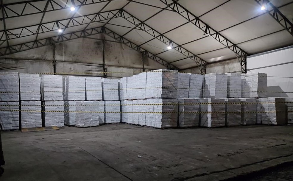 Carga foi apreendida pela Vigilância Sanitária de Santos, após solicitação do Ministério Público do Trabalho — Foto: Divulgação/Prefeitura de Santos