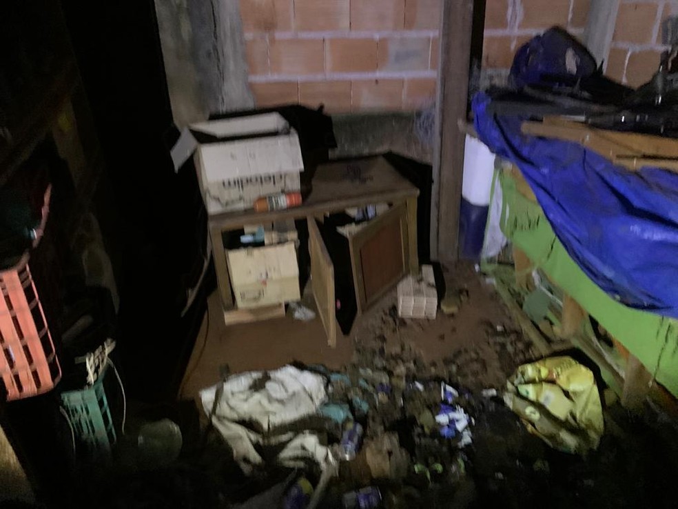 Cachorros em situação de abandono são resgatados em Prata