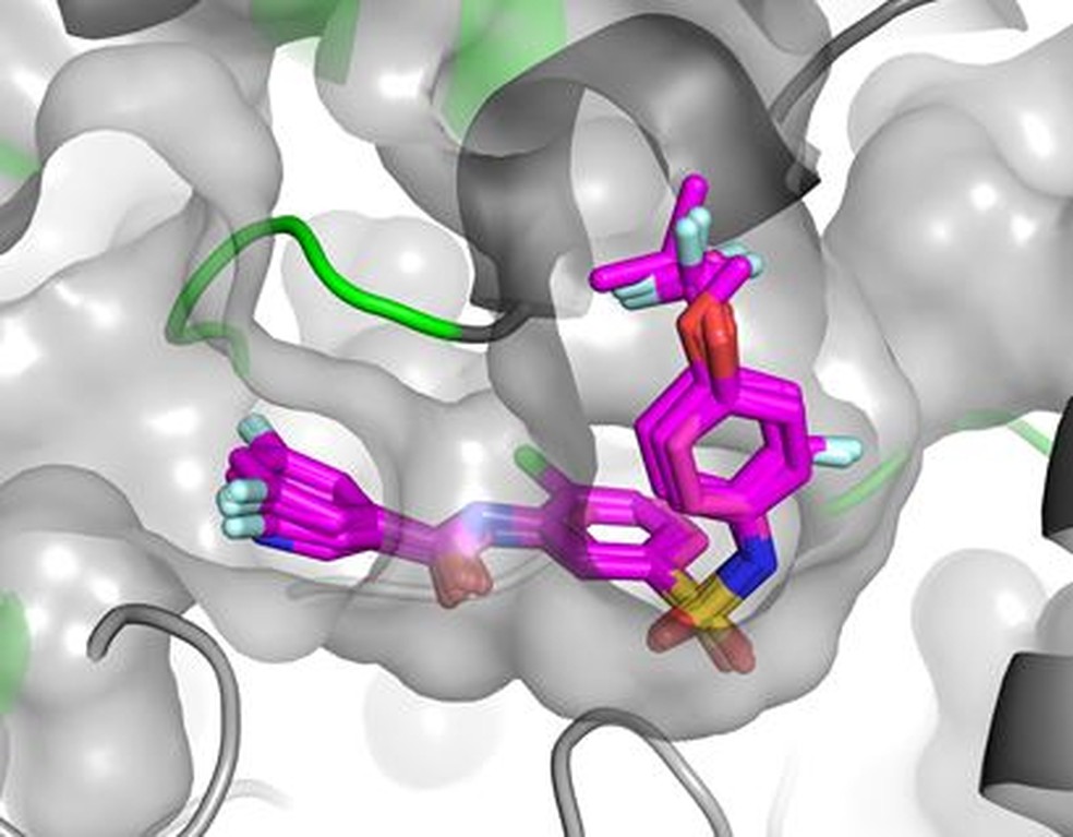 Cientistas do CNPEM avançaram no entendimento do mecanismo de ação de moléculas promissoras para tratamento da Doença de Chagas — Foto: CNPEM/Reprodução