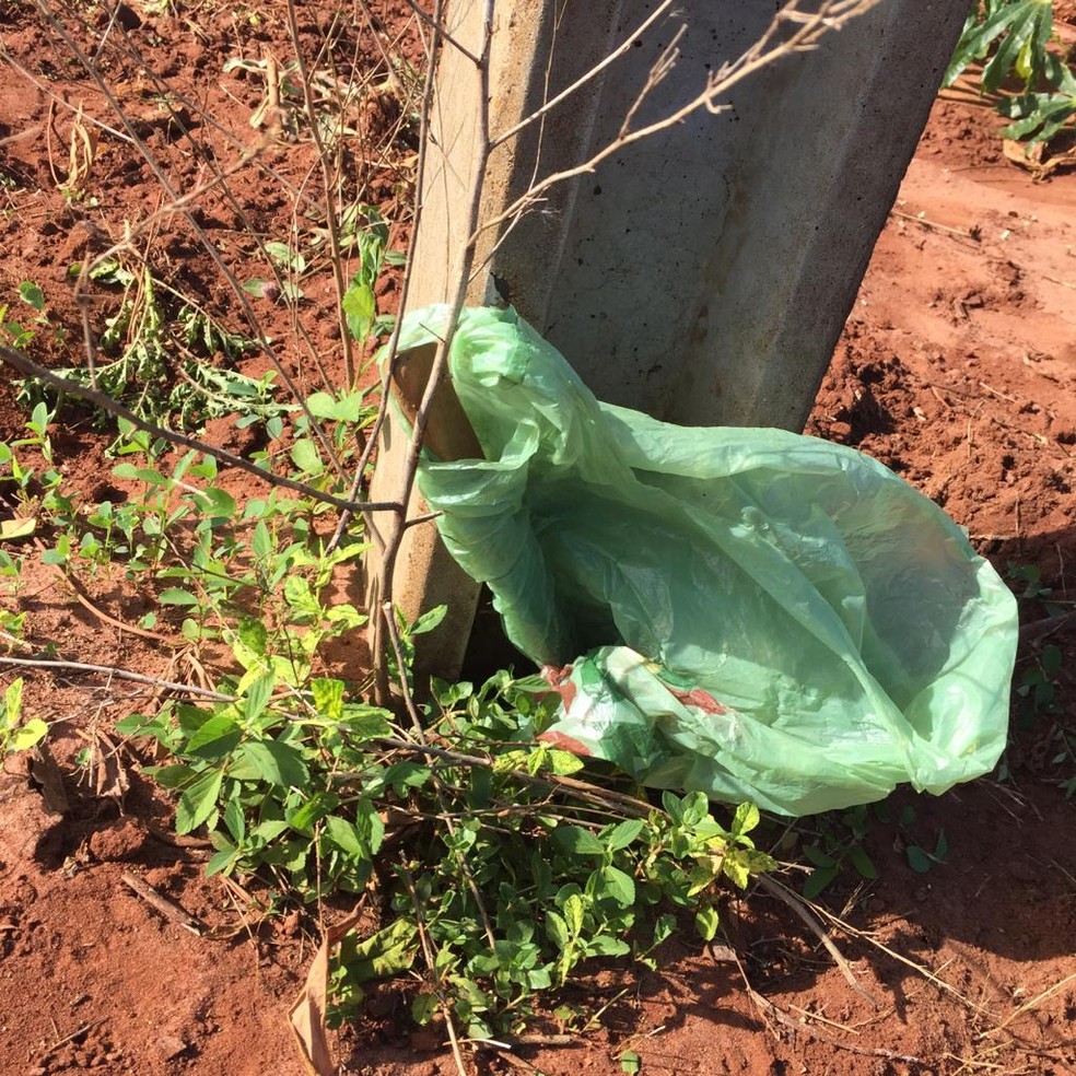 Faca usada no crime foi encontrada em fazenda em Rosana — Foto: Cedida/Polícia Civil