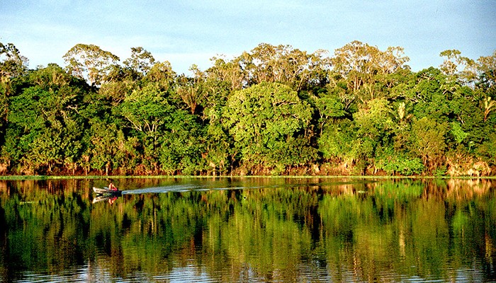 Áreas verdes no Brasil, como a Amazônia, são monitoradas o tempo todo (Foto: Wikimedia Commons)