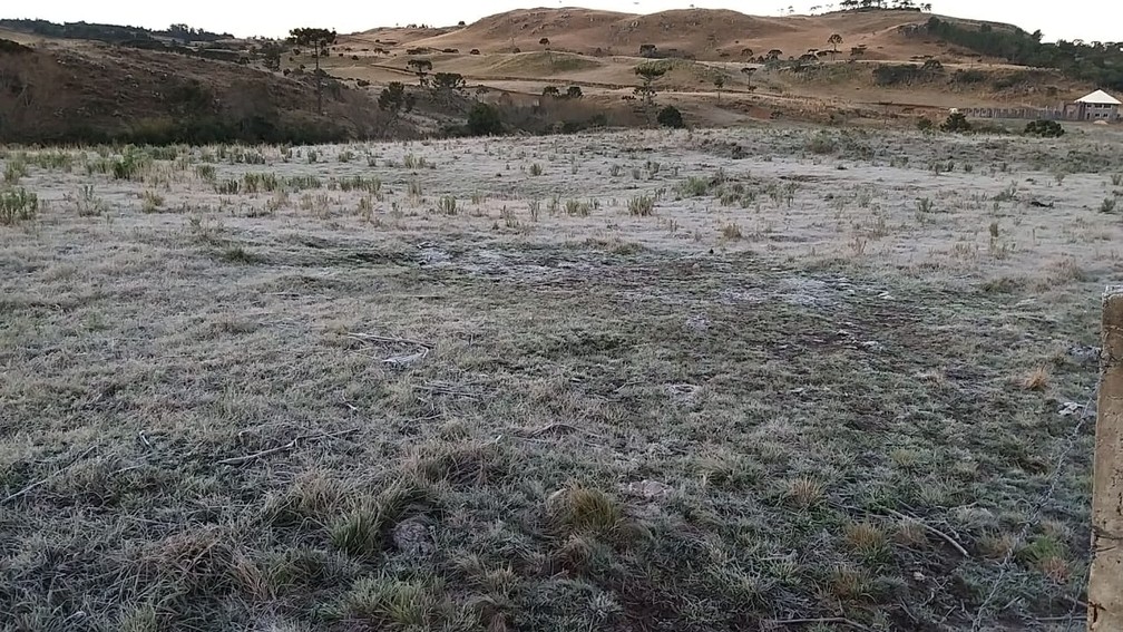 Vale do Caminhos da Neve no início da manhã em São Joaquim — Foto: Wagner Urbano/ NotiserraSC