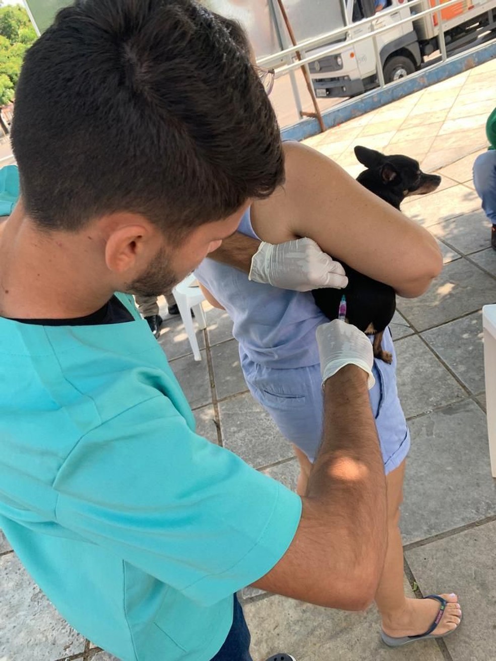 Juazeiro do Norte promove vacinação antirrábica em cães e gatos. — Foto: Divulgação