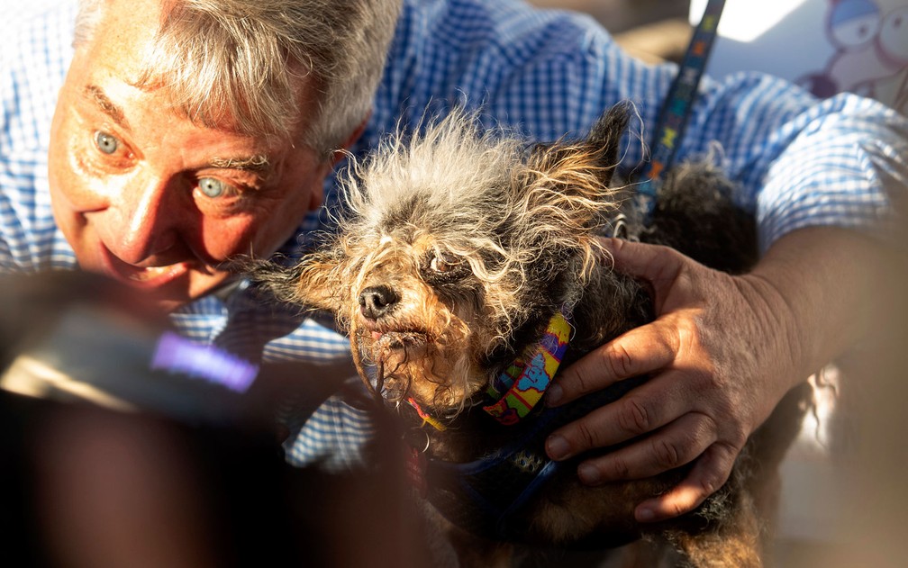 Scamp the Tramp posa para foto após vencer concurso de Cão mais Feio do Mundo, em Petaluma, Califórnia  — Foto: AP Photo/Noah Berger