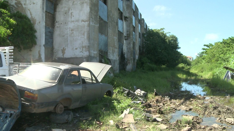 Lixo, mato alto, esqueletos de carros e água parada são alguns dos problemas encontrados ao lado do Conjunto Parque Primavera, abandonado há quase 20 anos, em Olinda (Foto: Reprodução/TV Globo)