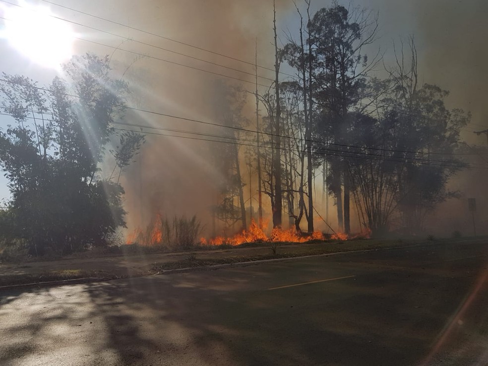 Incêndio florestal em Taguatinga, no DF — Foto: Arquivo pessoal