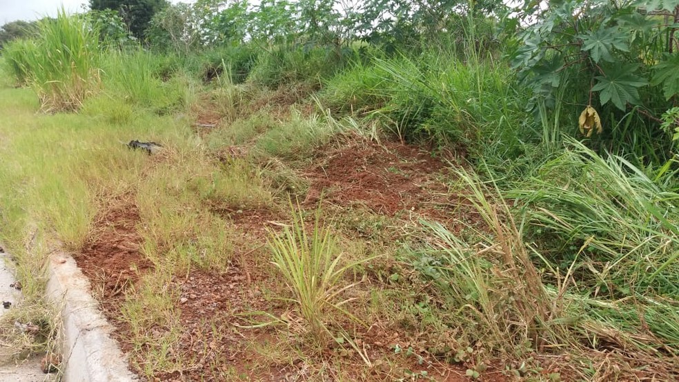 Carros aquaplanaram na Rodovia Assis Chateaubriand — Foto: Wellington Roberto/G1