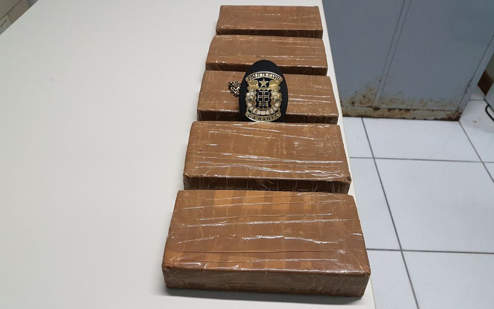 Cinco quilos de cocaína foram achados em guarda volumes de rodoviária (Foto: Divulgação/ Polícia Civil)