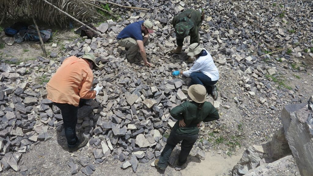 Equipe de campo procurando fósseis em Nazária, no Piauí (Foto: Kenneth Angielczyk)
