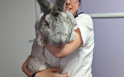 UK NGO rescues 47 giant rabbits after complaint of abuse – Marie Claire Magazine UK NGO rescues 47 giant rabbits after complaint of abuse – Marie Claire Magazine