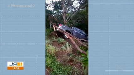 Em Araguaína arvore caí por causa da chuva e atinge carro
