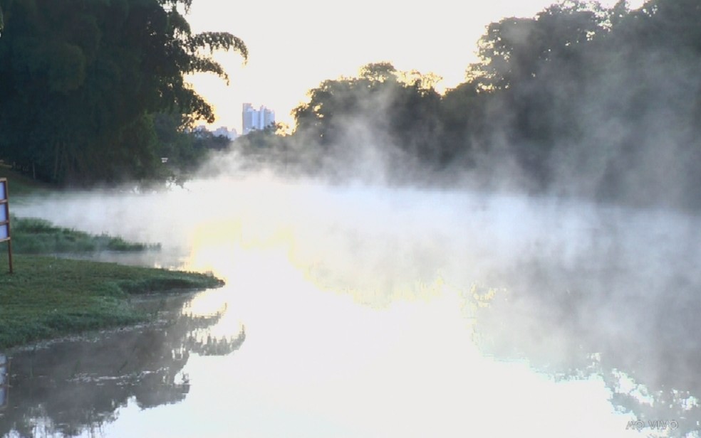 Jardim Botânico amanhece com neblina em lago por conta do frio — Foto: Reprodução/TV Anhanguera
