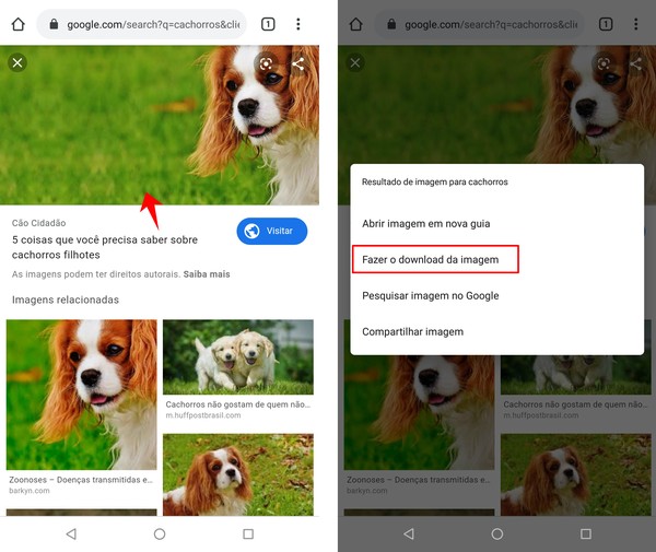 Como Pesquisar Imagem No Google Pelo Celular Lancadores E Buscadores Techtudo