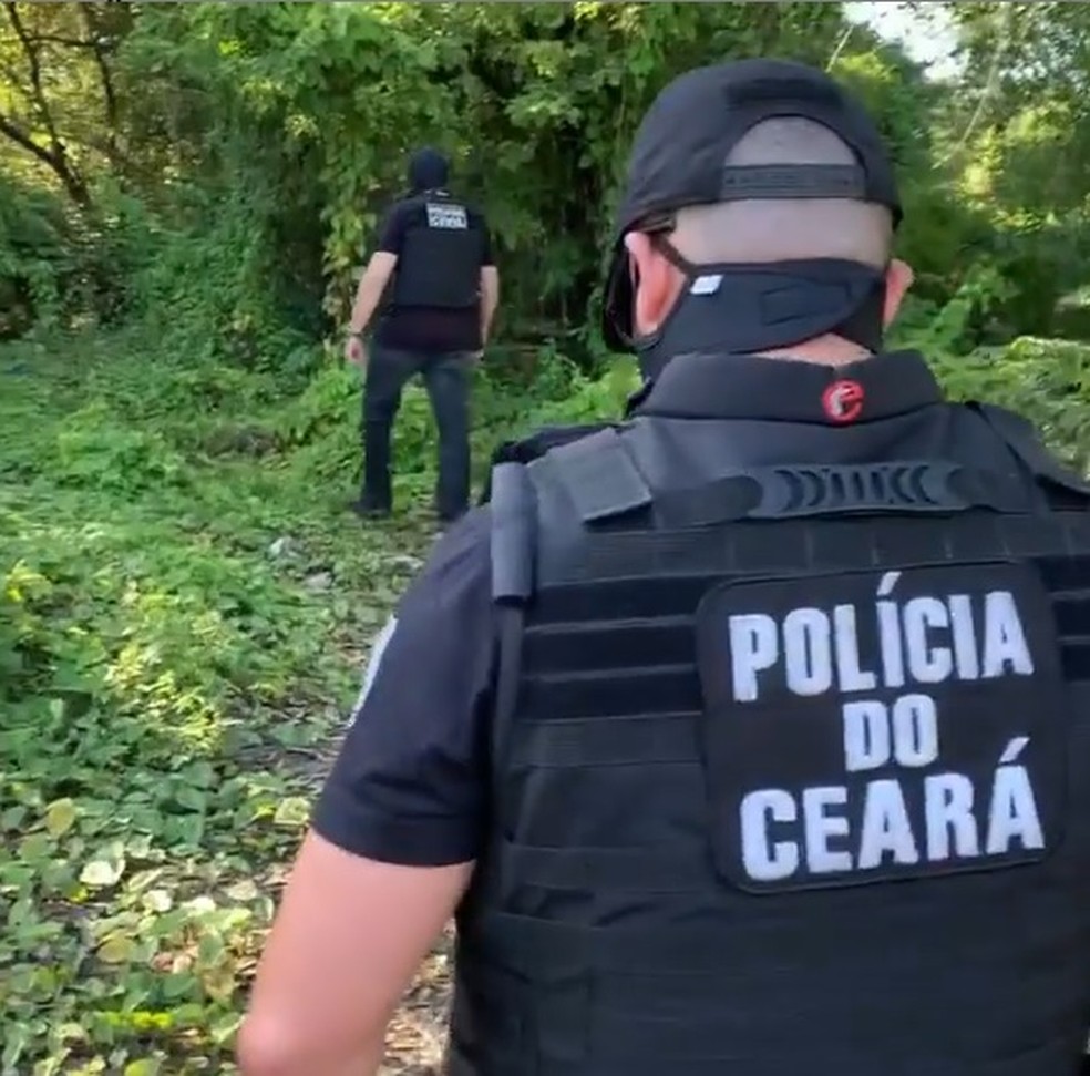 Em um vídeo divulgado pelo secretário da Segurança Pública, policiais civis caminham em uma área de mata — Foto: Reprodução/Instagram