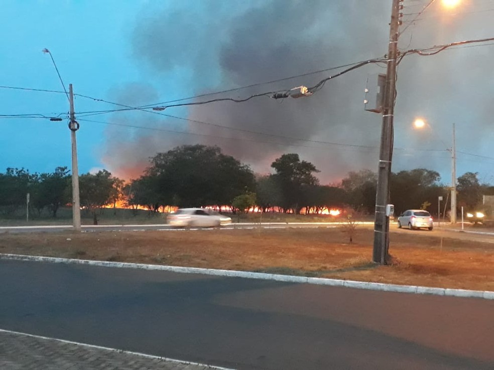 Queimada de grandes proporções atinge a mata na área do Parque Cesamar — Foto: Fernanda Barreira/Divulgação