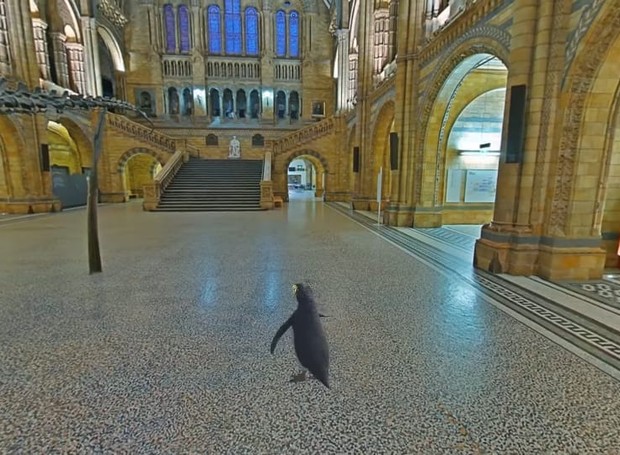 Alguns passeios virtuais são guiados por um divertido pinguim e garantem diversão para a família toda! Na foto, tour virtual pelo Museu de História Natural de Londres  (Foto: Google Arts & Culture / YouTube /  Reprodução)