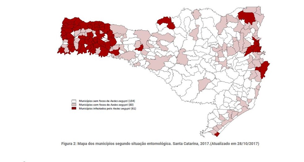 Quase metade dos municípios catarinenses tem focos do mosquito (Foto: Dive/Divulgação)