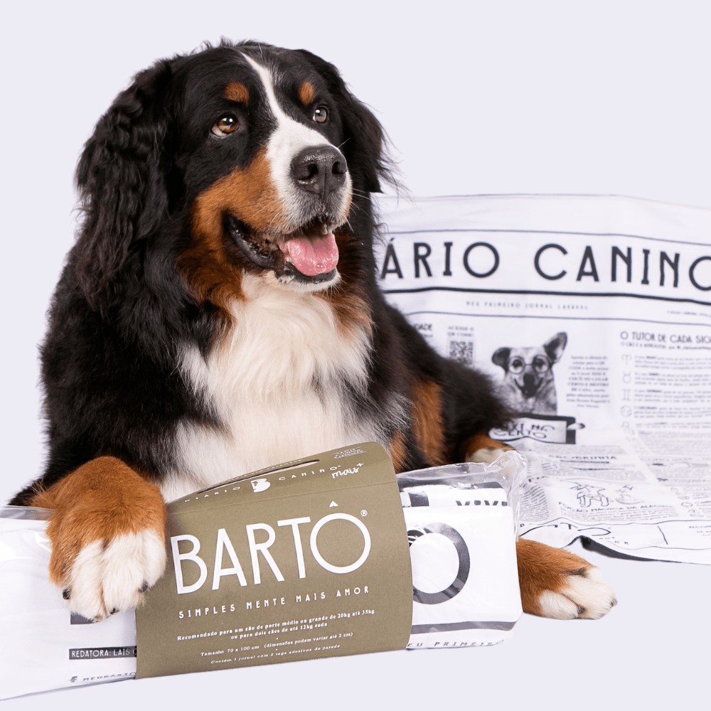 O Diário Canino está disponível em 3 tamanhos e pode ser comprado em lojas físicas, online e no site da marca. Os valores são R$ 107 (pequeno), R$ 149 (médio), R$ 181 (grande) (Foto: Bartô/ Reprodução)