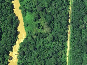 G1 - Rica, extensa e vulnerável, Amazônia é preocupação número 1