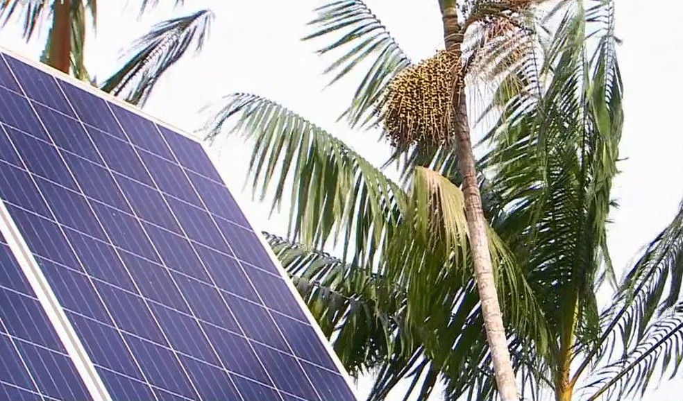 Coleta de sementes possibilitou aquisição de painéis solares para ribeirinhos — Foto: Reprodução/Rede Amazônica