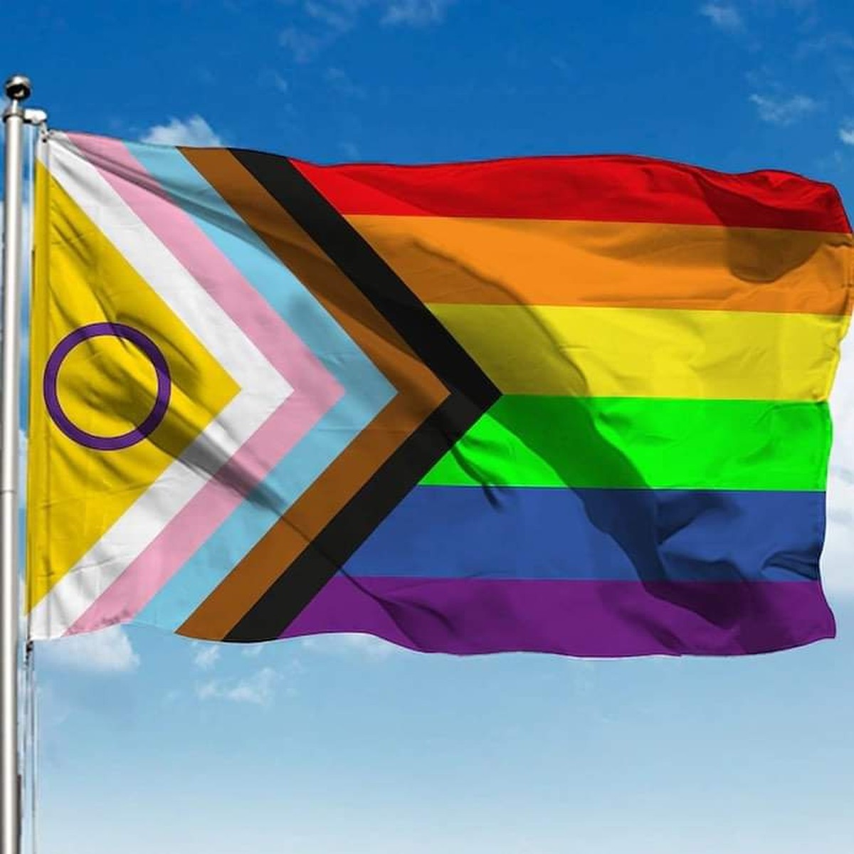 nova bandeira lgbtqia é apresentada entenda mudanças política