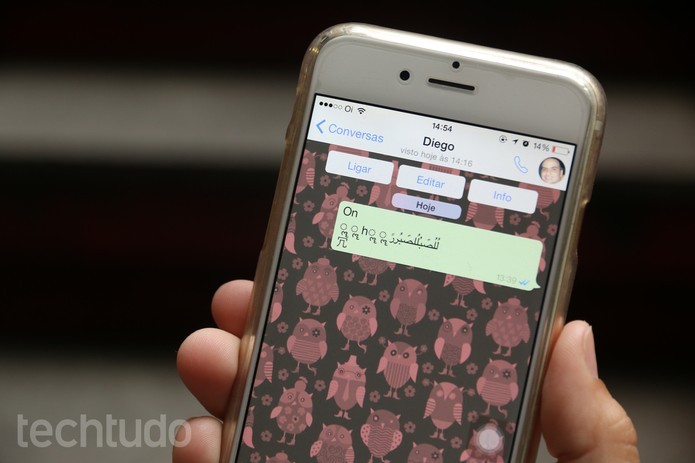 Código enviado pelo WhatsApp conseguia travar sistema iOS do iPhone (Foto: Anna Kellen Bull/TechTudo)
