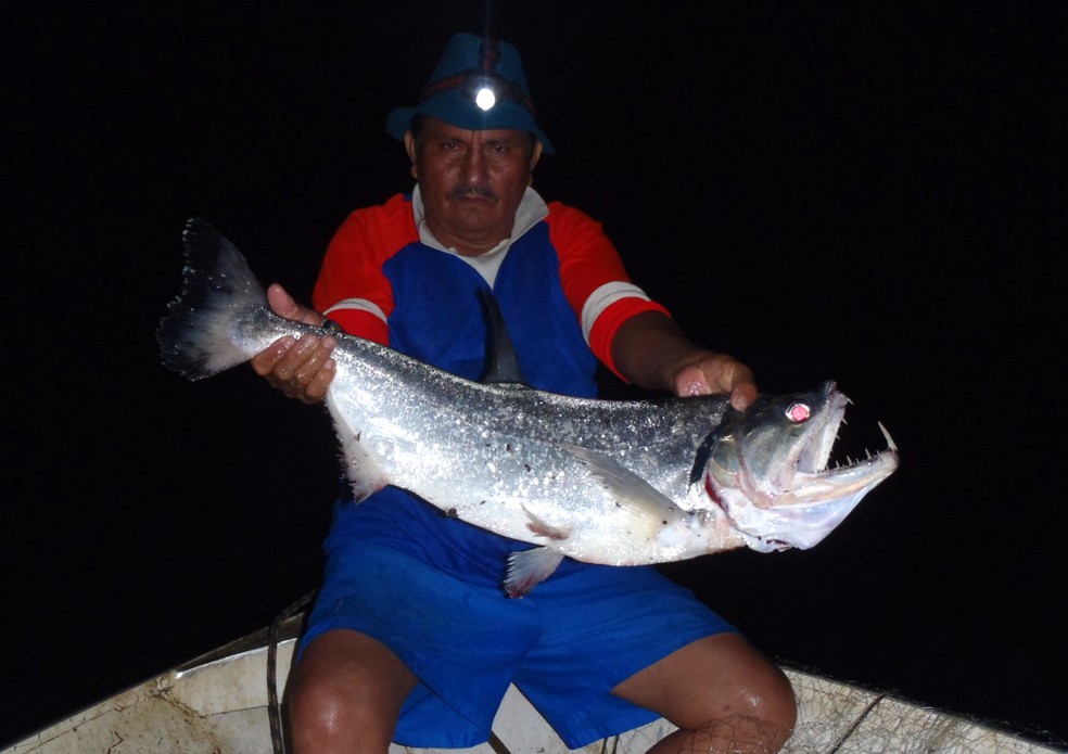 Estudo identificou maior presença de mercúrio em peixes carnívoros (Foto: Cecile Gama/Arquivo Pessoal)