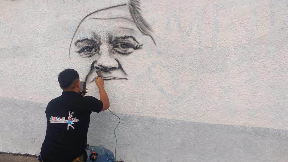 Pintura de Marilena Ferreira Umezu foi a primeira a ser feita por artista plástico no muro da Escola Raul Brasil após massacre em Suzano — Foto: Maiara Barbosa/G1