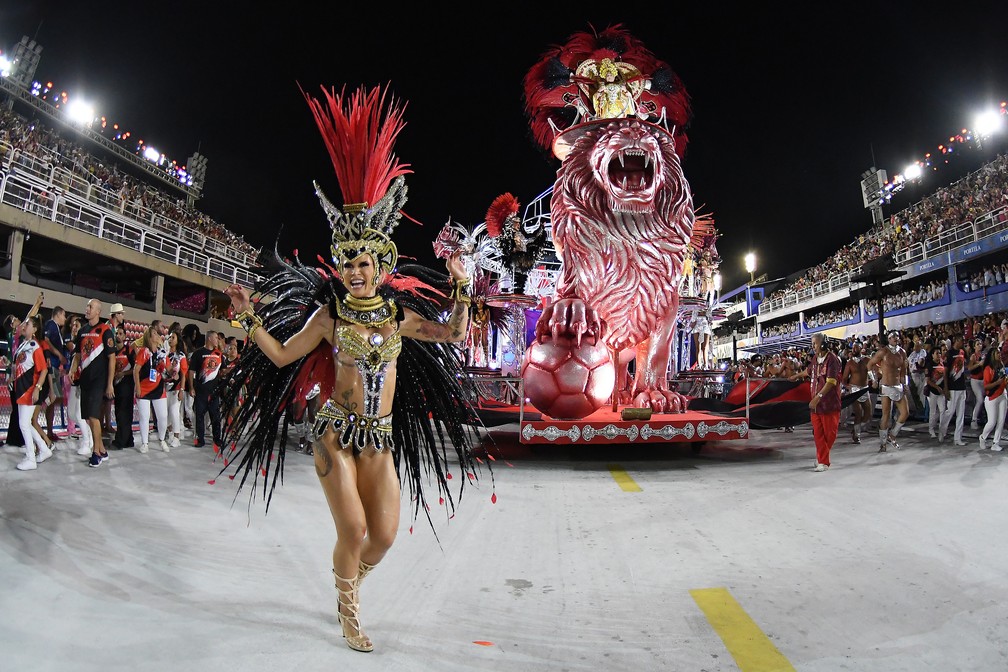 Desfile da Estácio de Sá — Foto: Alexandre Durão/g1