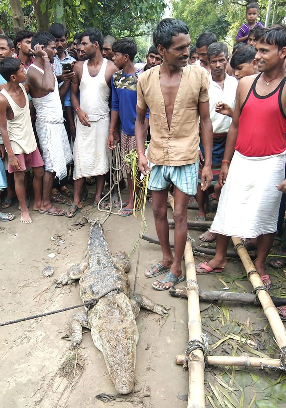Moradores se reuniram ao redor do crocodilo encontrado em canal de irrigação após enchente em Midania, no estado de Uttar Pradesh, no norte da Índia — Foto: Buffer Division of Dudhwa Tiger Reserve / AFP