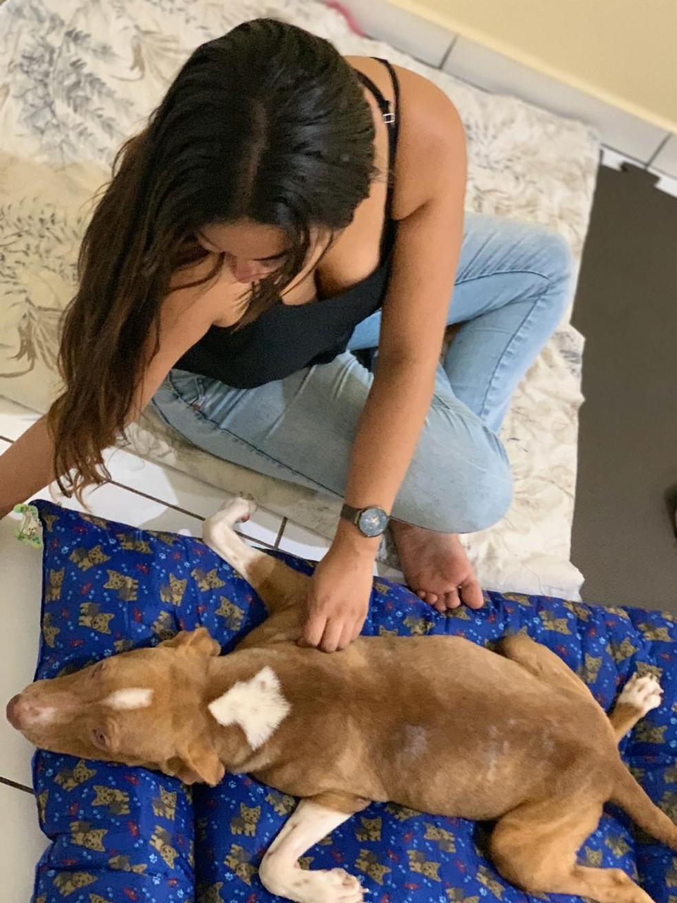 Benjamin com a nova dona, Michele Taborga, que deu um lar ao cachorro. — Foto: Michele Taborga/Arquivo Pessoal