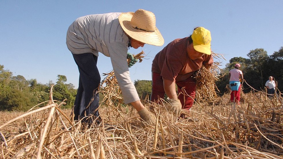 Cerca de 4,7 milhões de imóveis rurais já fizeram o Cadastro Ambiental Rural (CAR) |  (Foto: Hedeson Alves/Governo do Paraná)