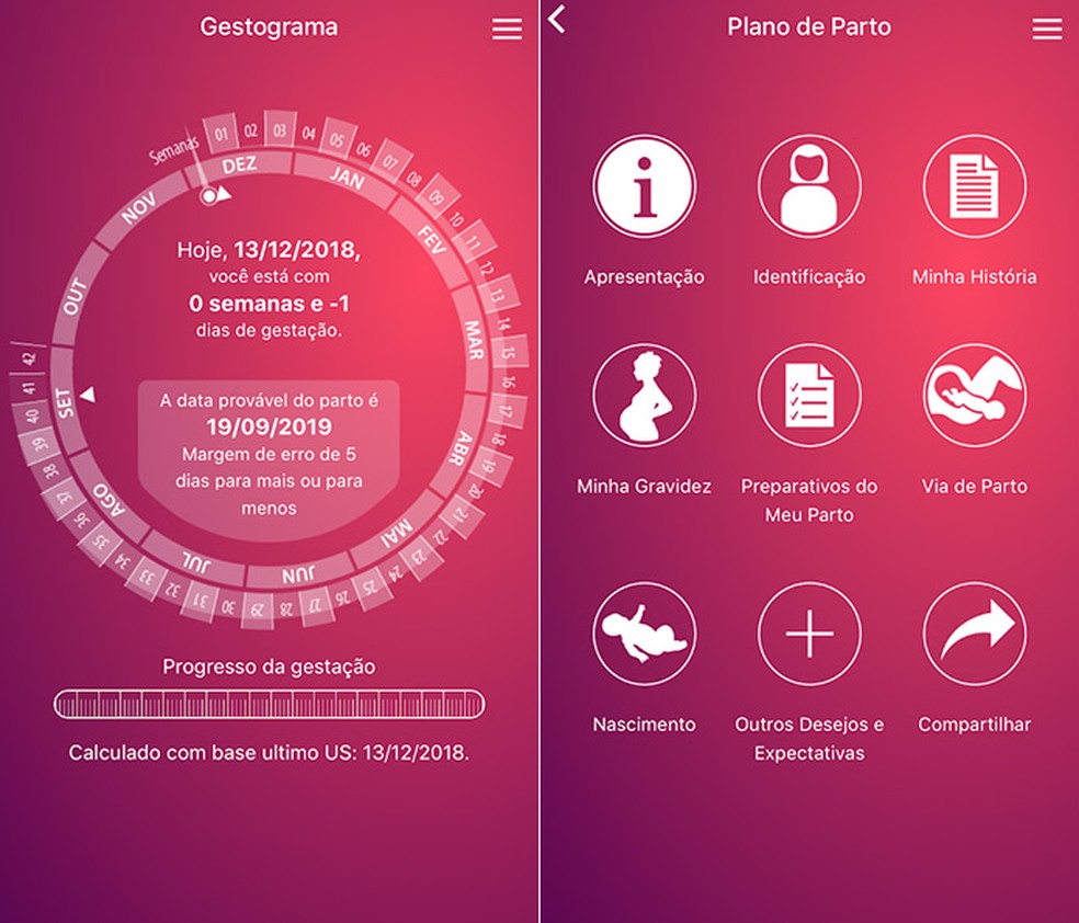 Aplicativo de gravidez: veja apps para acompanhar gestação no celular |  Produtividade | TechTudo