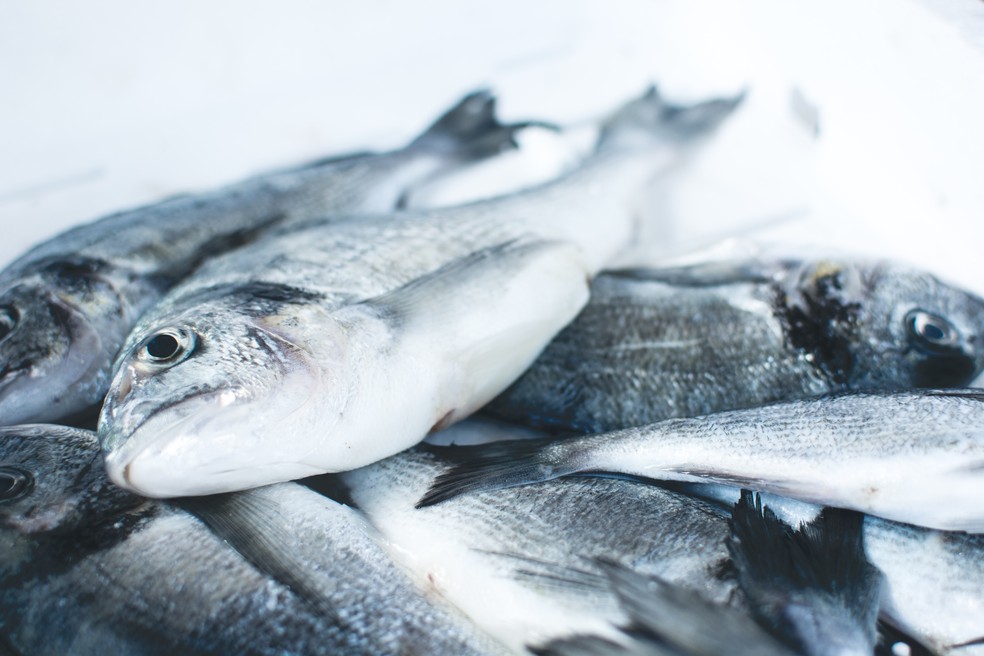 Pescados azuis são ricos em ácido graxo ômega-3, nutriente relacionado a uma menor deterioração cognitiva — Foto: Unsplash