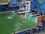 Rio 2016 explica o que causou piscina verde (AP Photo/Matt Dunham)