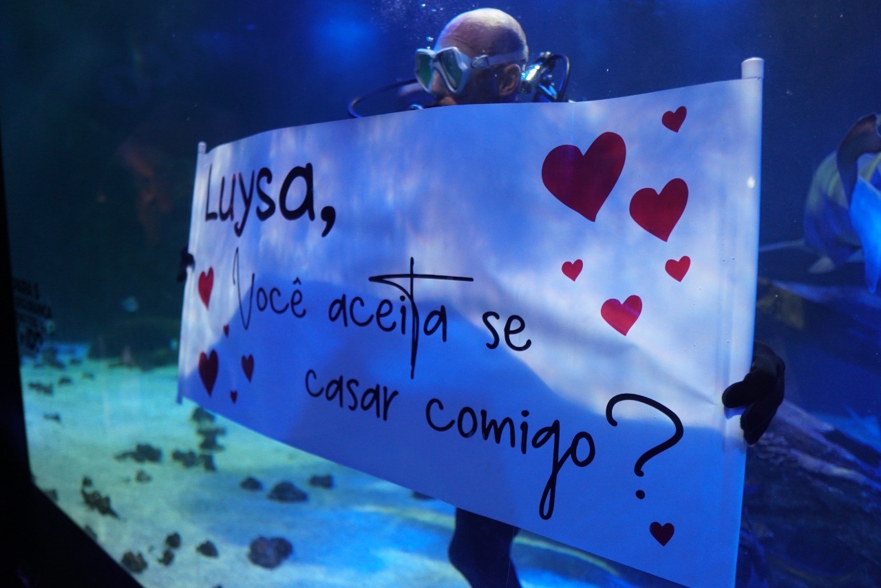 Pedido de casamento é feito dentro de aquário de tubarões em Balneário Camboriú; VÍDEO
