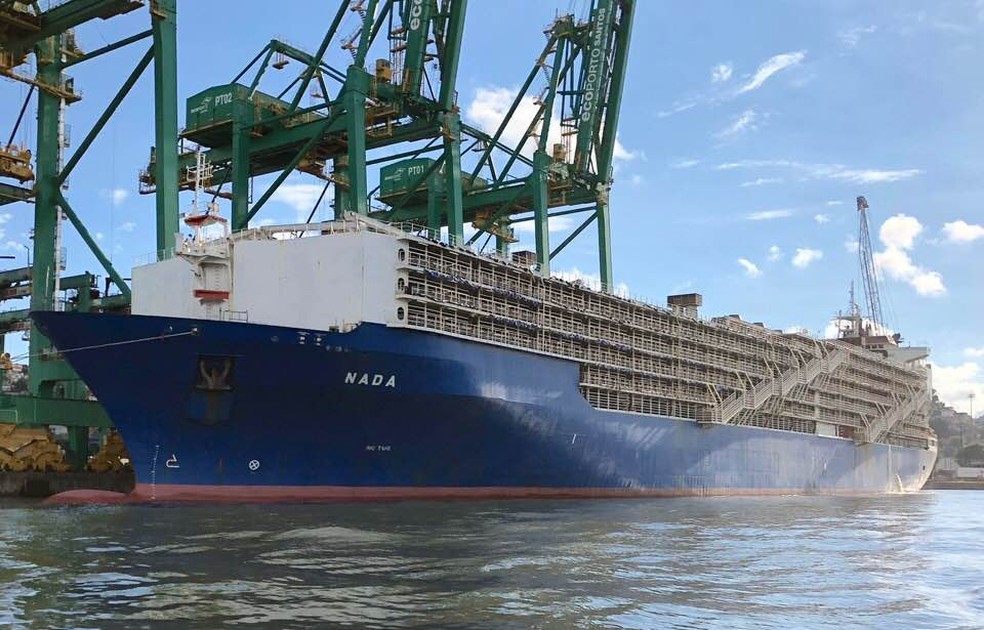Navio Nada é o maior para bovinos em operação no mundo (Foto: Fabio Mello Fontes/Arquivo Pessoal)