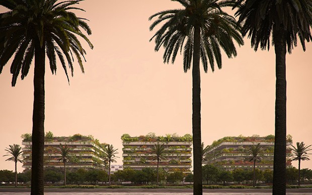 Nova capital do Egito terá prédios que parecem florestas verticais (Foto: Divulgação)
