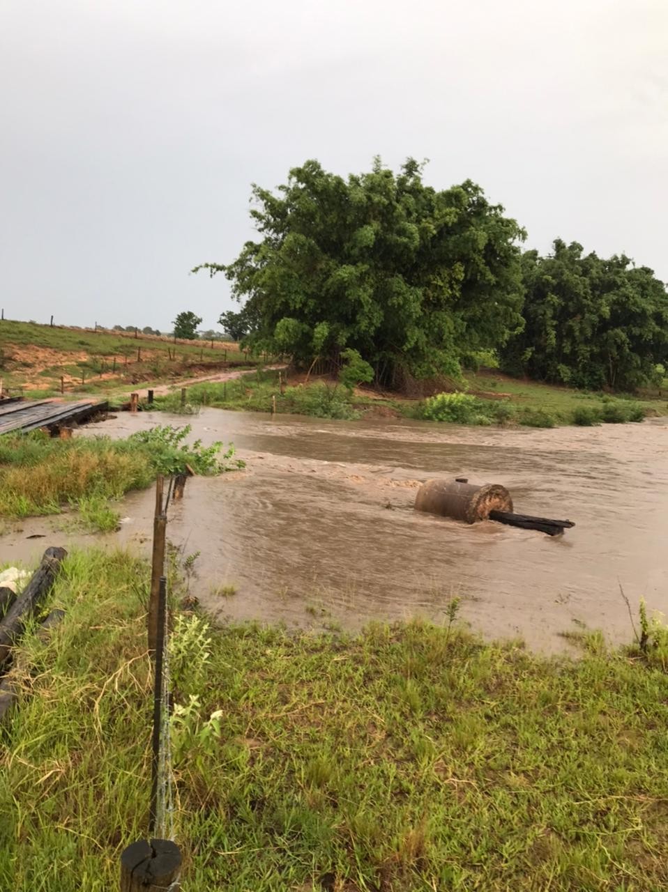Com chuva de 80 milímetros, temporal causa estragos nas áreas urbana e rural de Flora Rica 